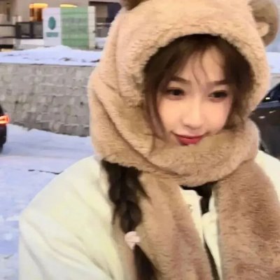 兔子镇的火狐狸