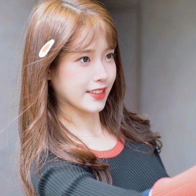 春满凤城